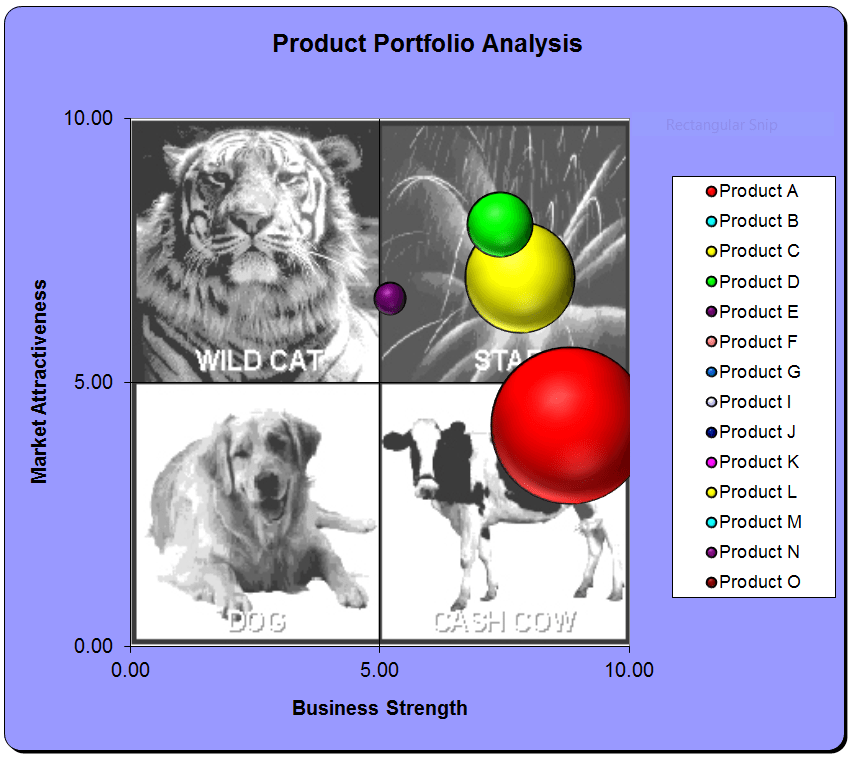 Product Portfolio