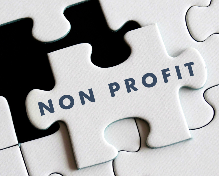 Non Profit Company Limited By Guarantee