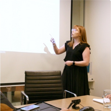 one of our brisbane accountants presenting in the boardroom