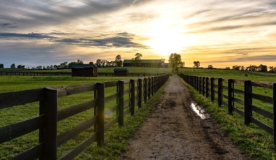 rural queensland which is being targeted with the Backing Business In The Bush Fund