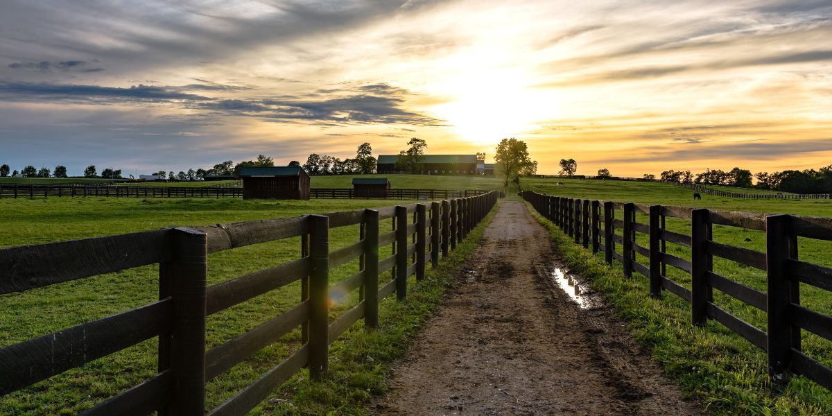 rural queensland which is being targeted with the Backing Business In The Bush Fund