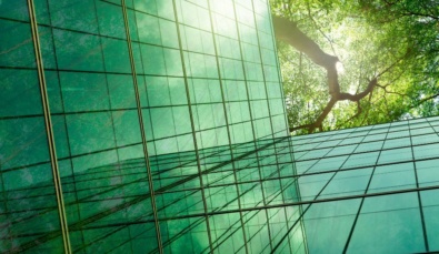 looking up the side of a glass windowed office tower to a tree towering above the building used on a blog about changes to the Australian sustainability reporting standards