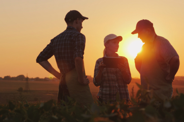 Agribusiness Accounting Agribusiness Accounting