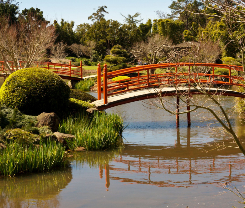 Toowoomba gardens with japanese bridge