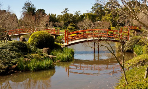 Toowoomba gardens with japanese bridge